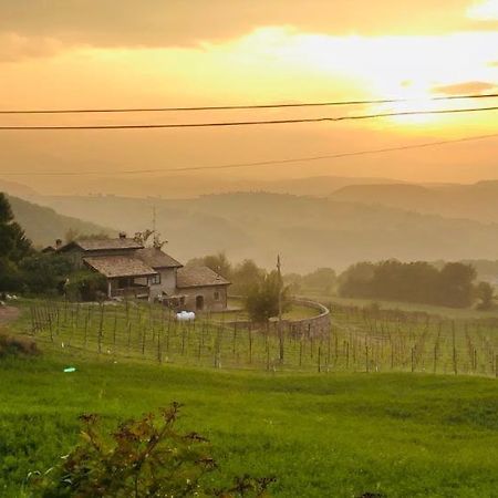 Fattoria Branciana Bed & Breakfast Rossena ภายนอก รูปภาพ