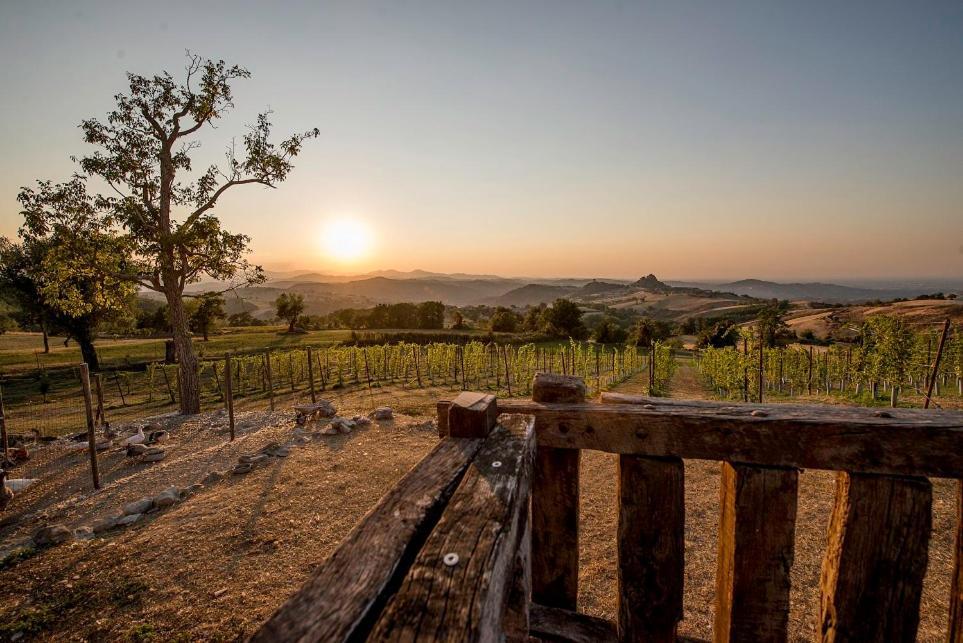 Fattoria Branciana Bed & Breakfast Rossena ภายนอก รูปภาพ