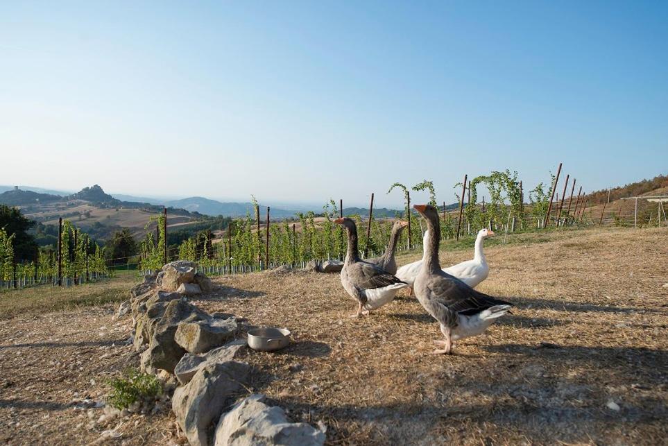 Fattoria Branciana Bed & Breakfast Rossena ภายนอก รูปภาพ