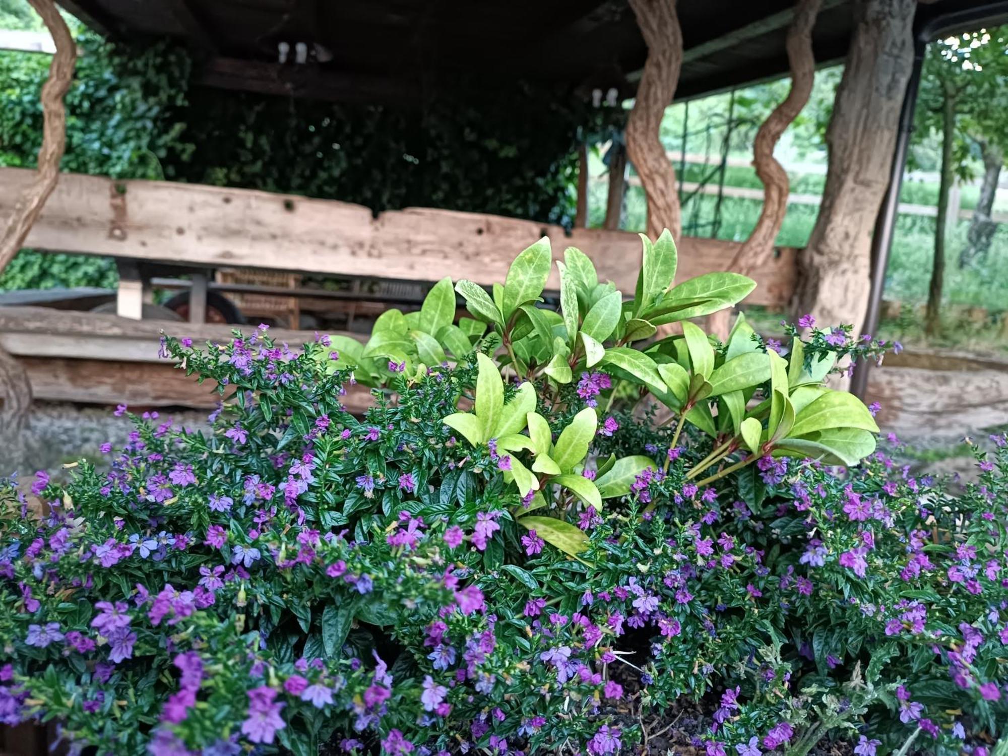 Fattoria Branciana Bed & Breakfast Rossena ภายนอก รูปภาพ